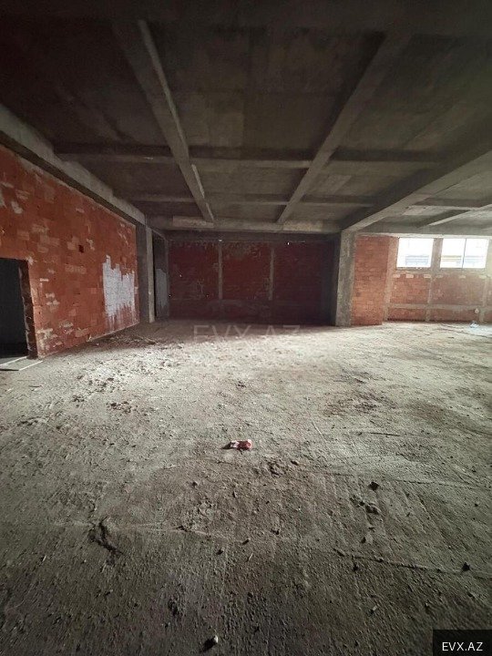 Image 12