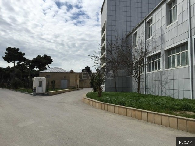 Image 6