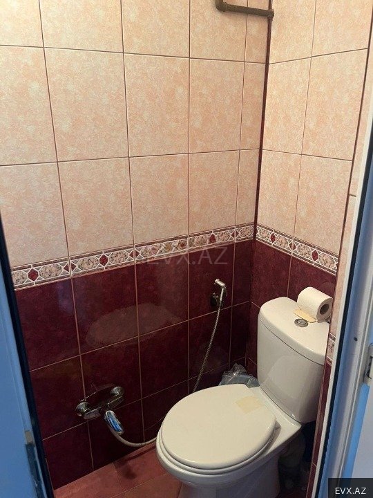 Image 6