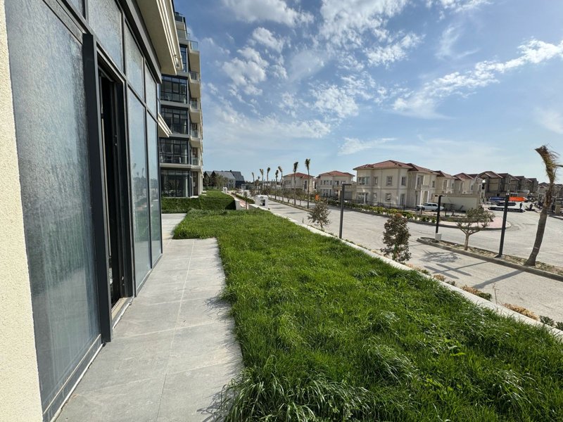 Image 8