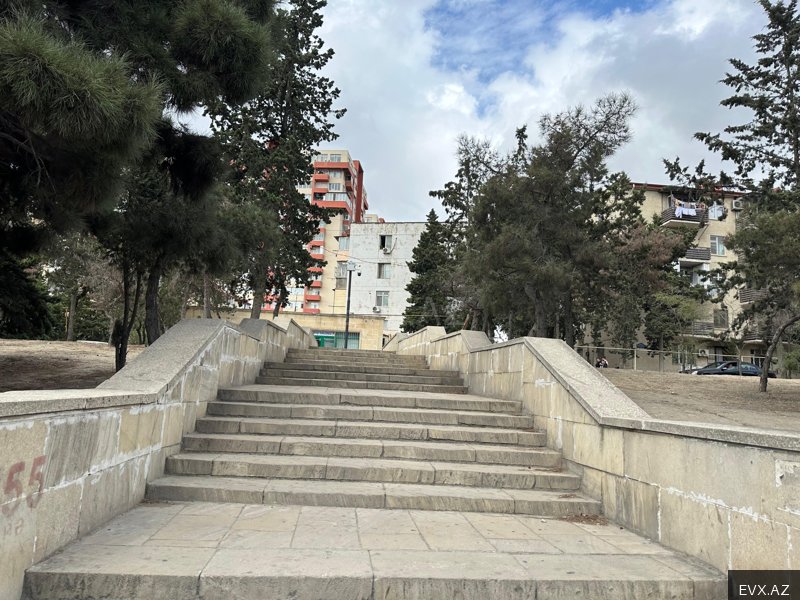 Image 14