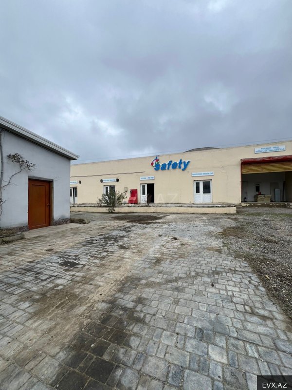 Image 10